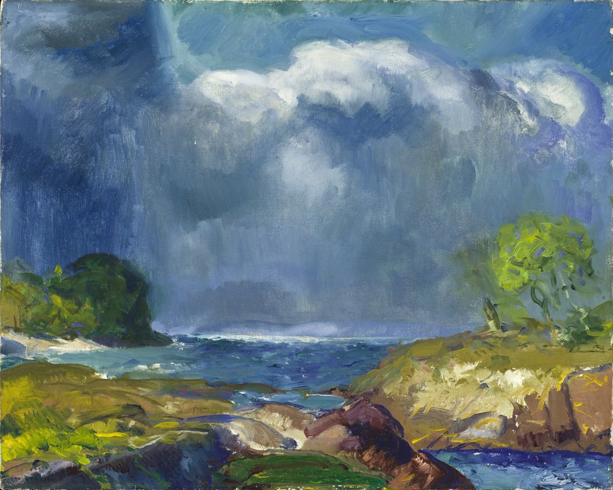 Tuleva myrsky tekijältä George Wesley Bellows