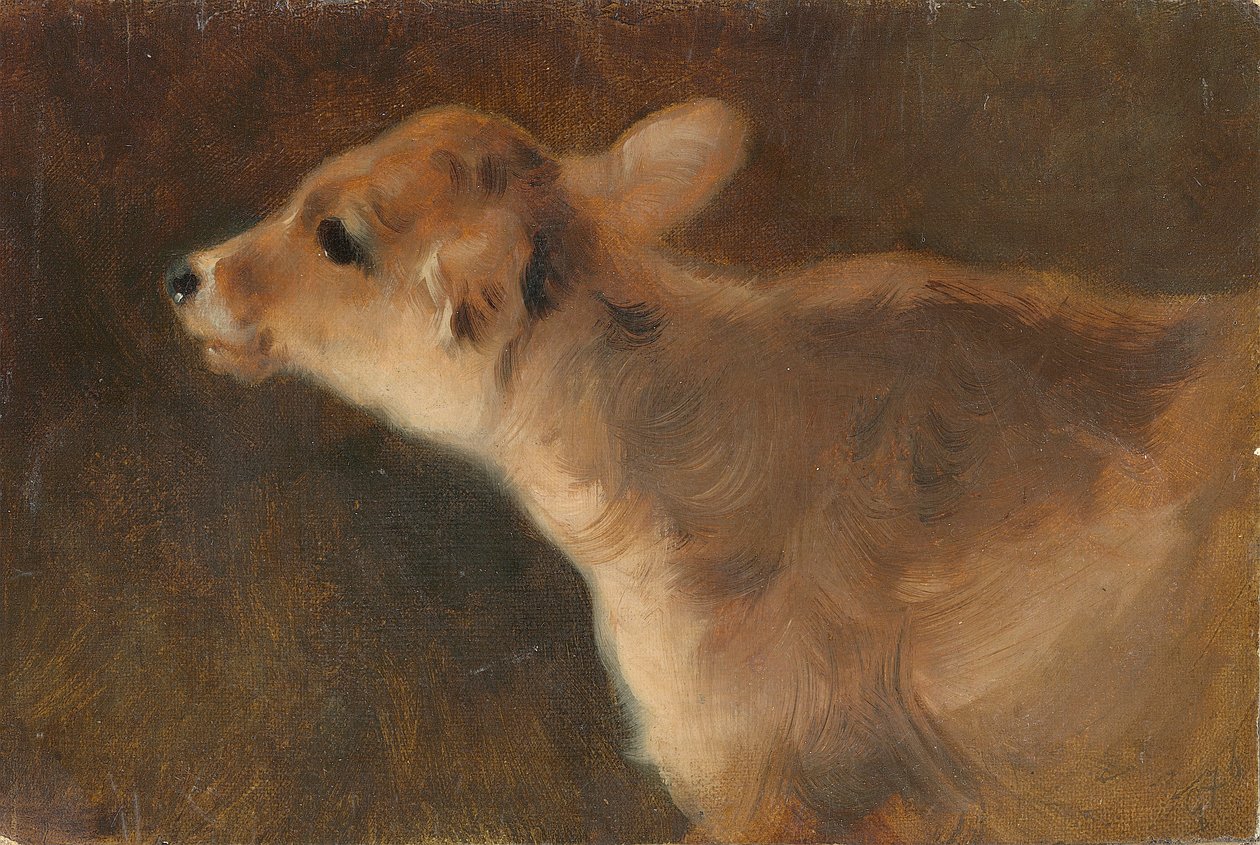 Vasikka, 1879 (öljy kankaalle asetettu levylle) tekijältä George Wiliam Horlor