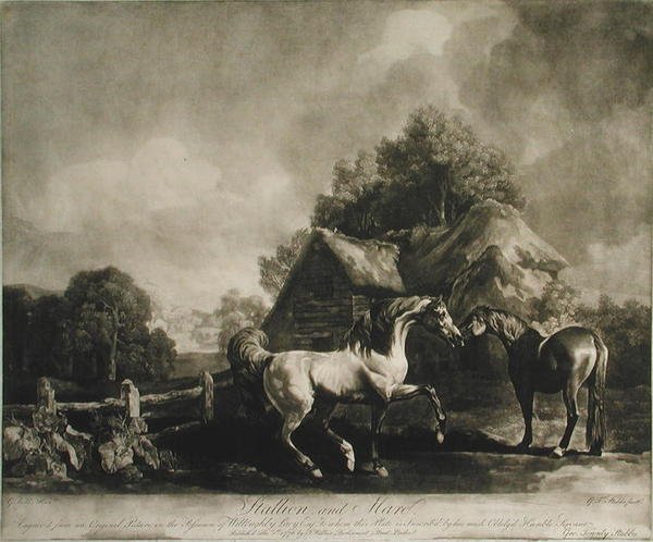Ori ja tamma, kaiverrus George Townley Stubbs (1756-1815) 1776 (mezzotint) tekijältä George after Stubbs