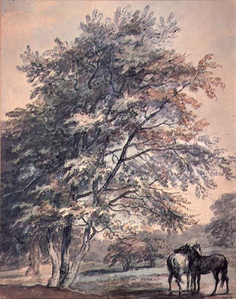 Puut ja hevoset, 1700-luku tekijältä George the Elder Barret