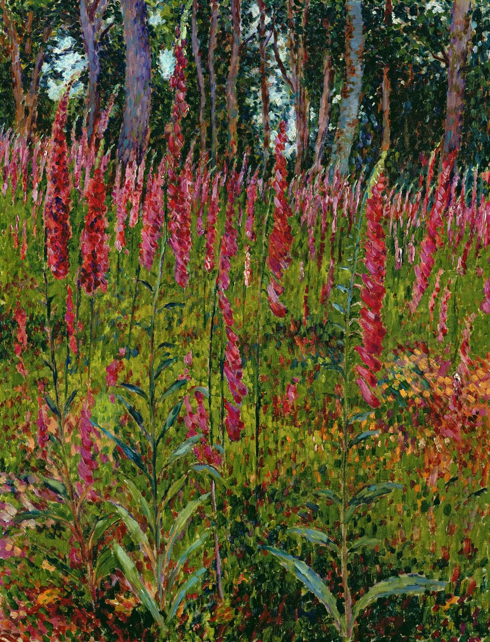 Foxgloves, n. 1916 tekijältä Georges Lacombe