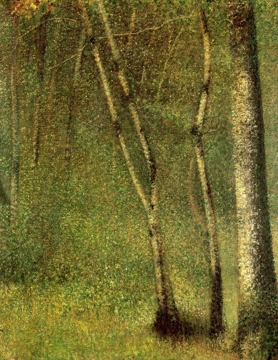 Metsässä Pontaubertissa tekijältä Georges Seurat