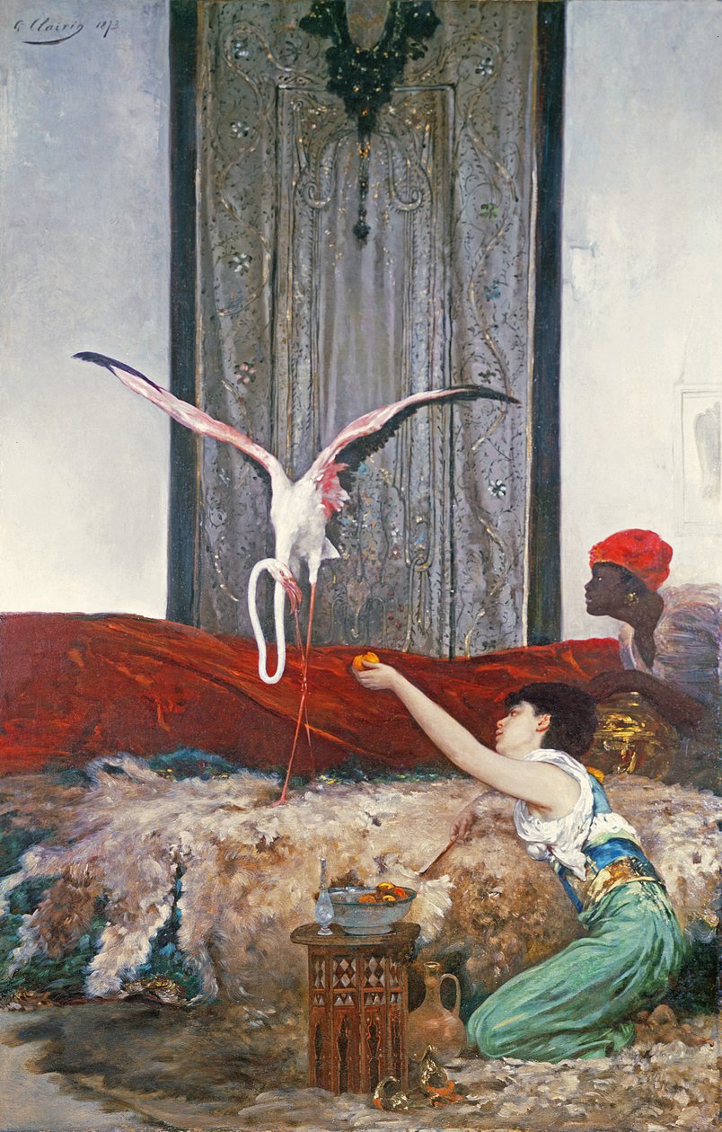 Lemmikkiflamingo (öljy kankaalle) tekijältä Georges Clairin