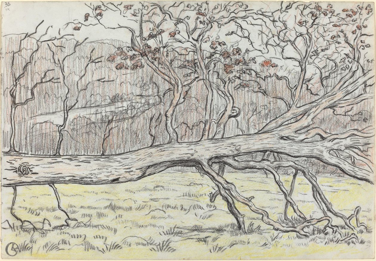 Kaadettu puu, Normandia tekijältä Georges Lacombe