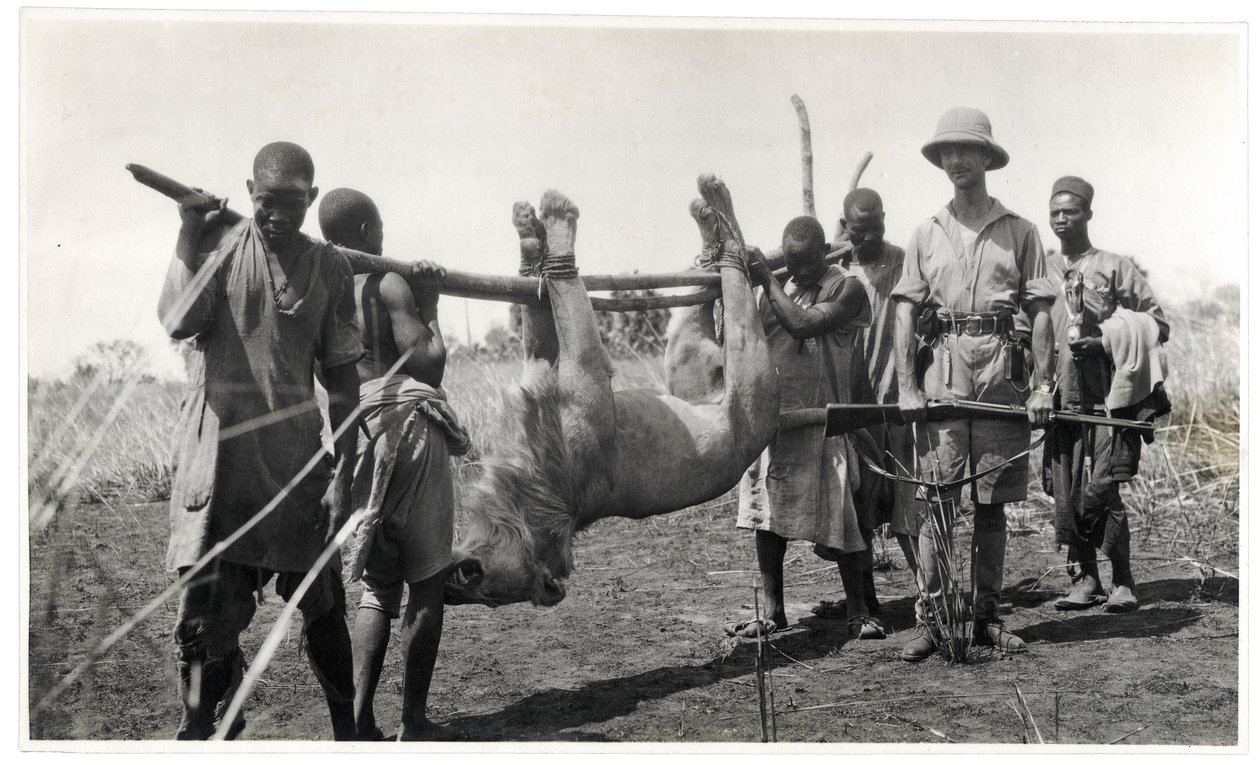 Leijona Bahr el Ghazalissa, Am Dafok, 1925 (gelatiinihopeaprintti) tekijältä Georges Marie Haardt