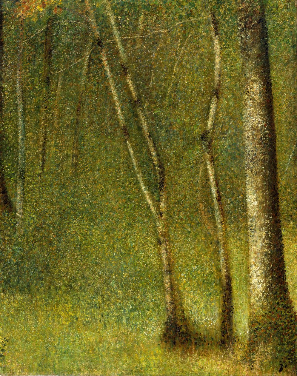 Metsä Pontaubertissa, 1881. tekijältä Georges Pierre Seurat