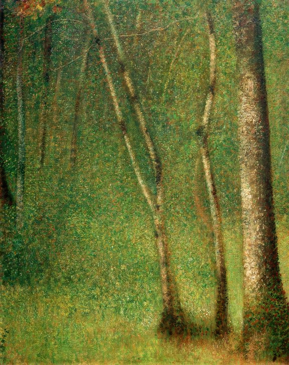 Aluskasvillisuus Pontaubertissa (Wald in Pontaubert) tekijältä Georges Seurat