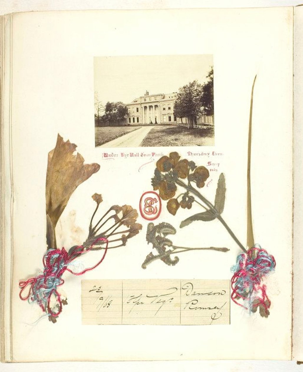 Nimetön [näkymä Broadlandsista kuivakukkineen], 1868. tekijältä Georgina Cowper