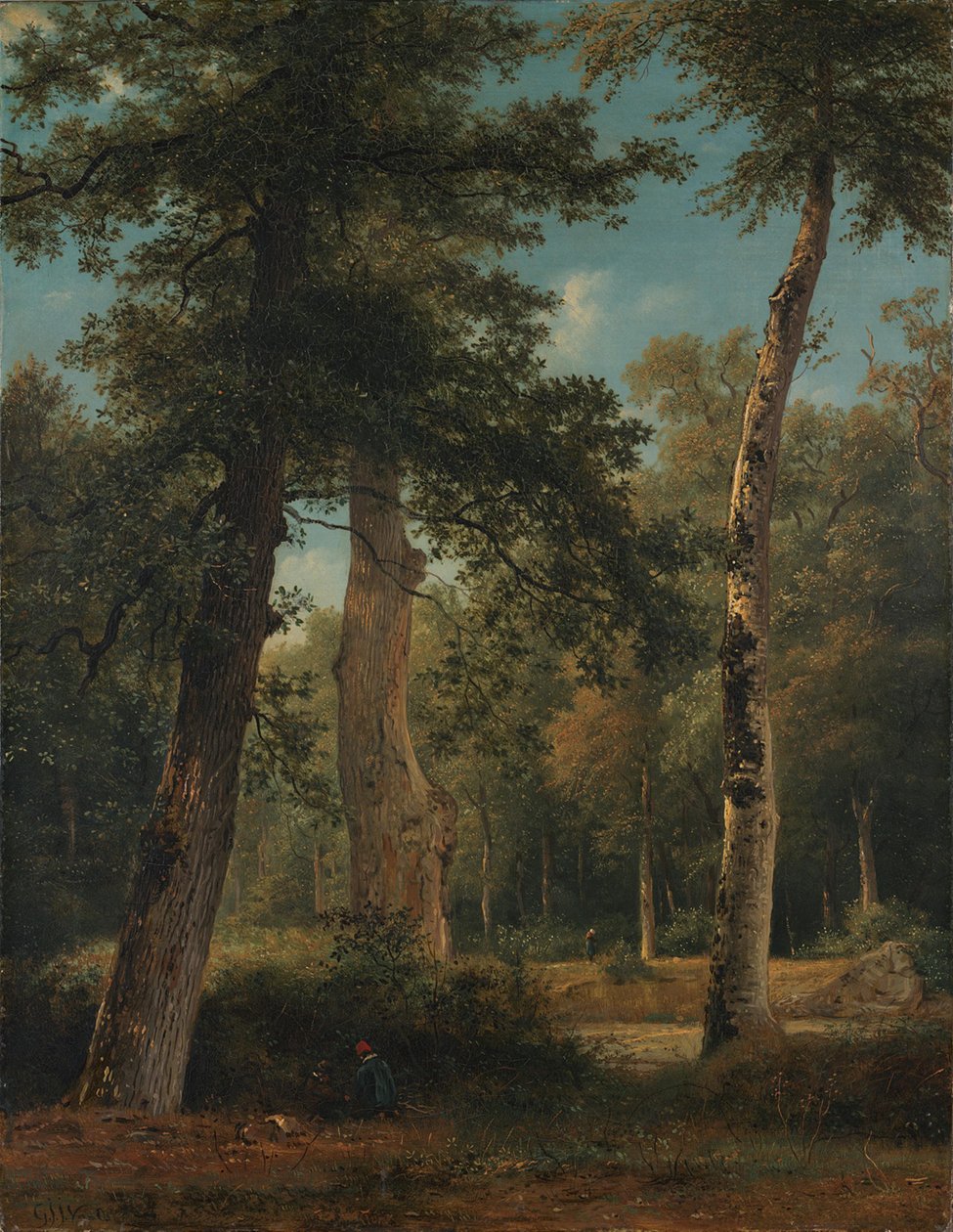 Metsä Fontainebleaussa tekijältä Georgius Jacobus Johannes van Os