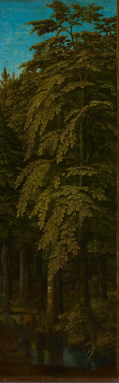 Äußere rechte Flügel eines Triptychons mit Blick in einen Wald tekijältä Gerard David