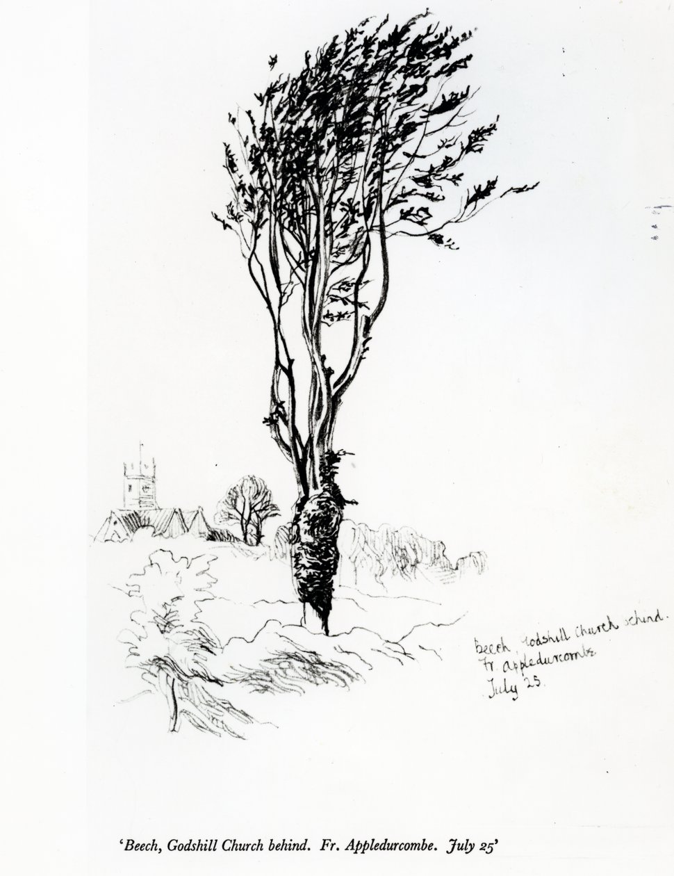 Pyökki, takana Godshillin kirkko. Fr. Appledurcombe. 25. heinäkuuta, noin 1860-luvulla tekijältä Gerard Manley Hopkins