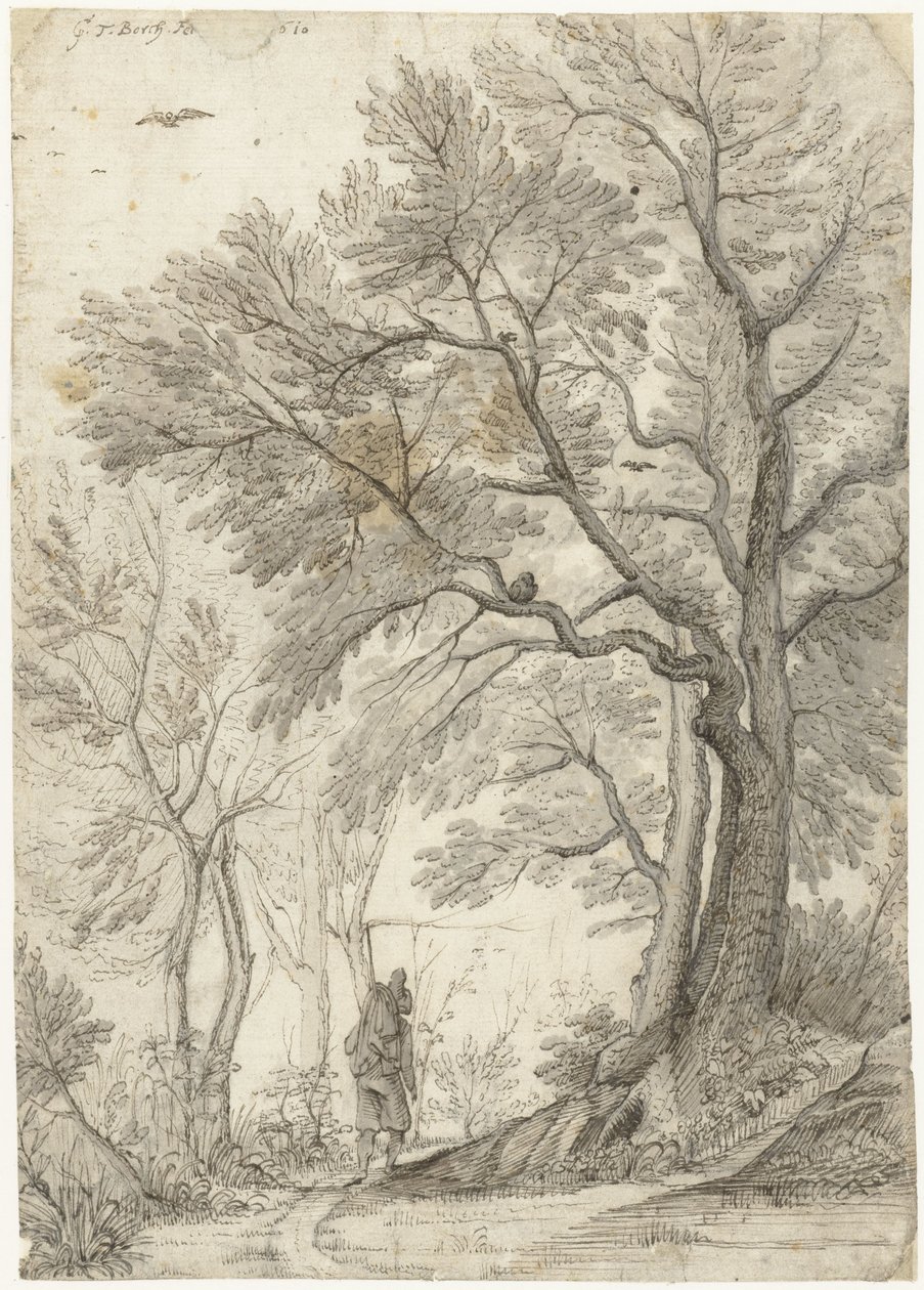 Villa Madaman metsä Rooman ulkopuolella tekijältä Gerard ter Borch