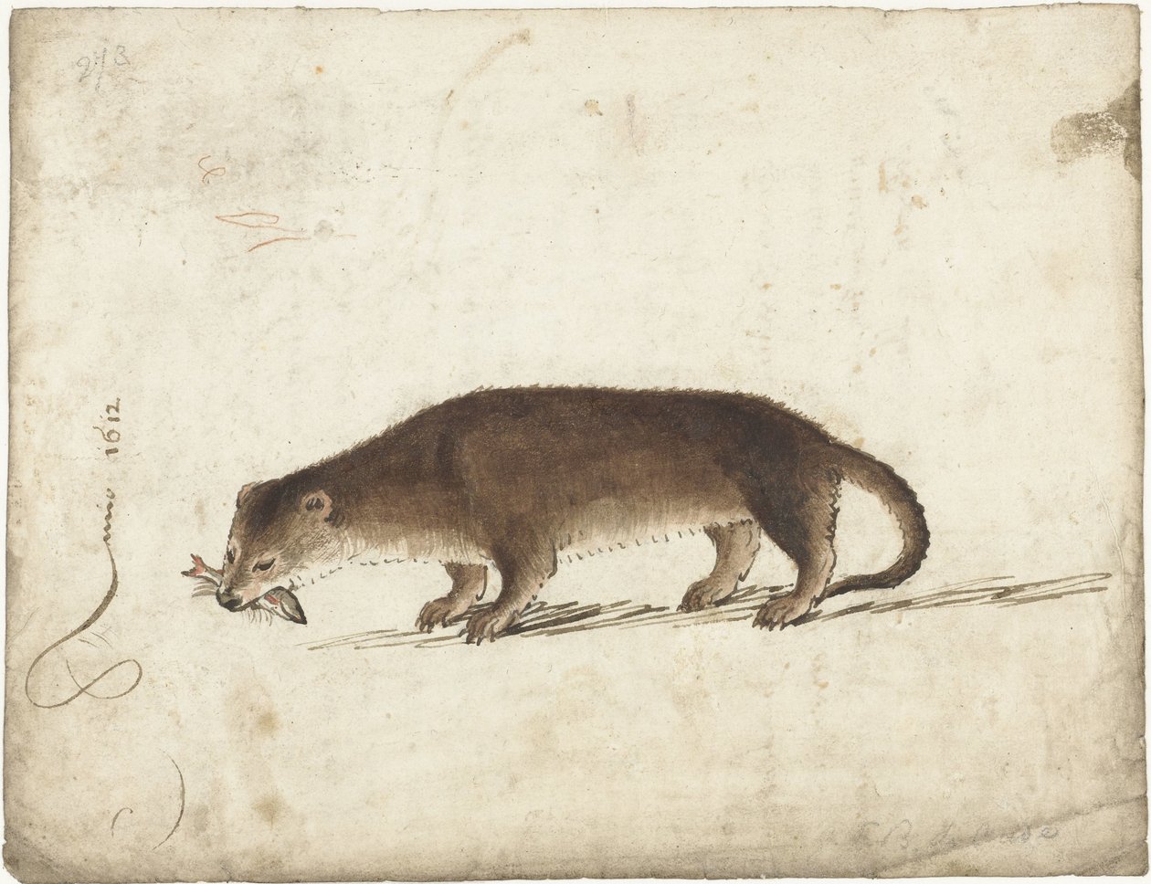 Saukko kala suussaan tekijältä Gerard ter Borch (I)