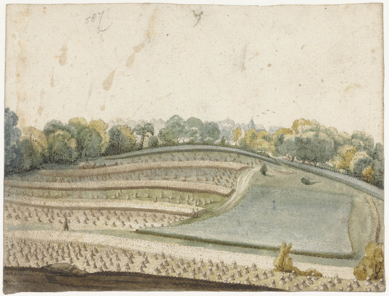Panoraama aaltoilevasta vehnäpellosta ylhäältä katsottuna tekijältä Gerard ter Borch (I)