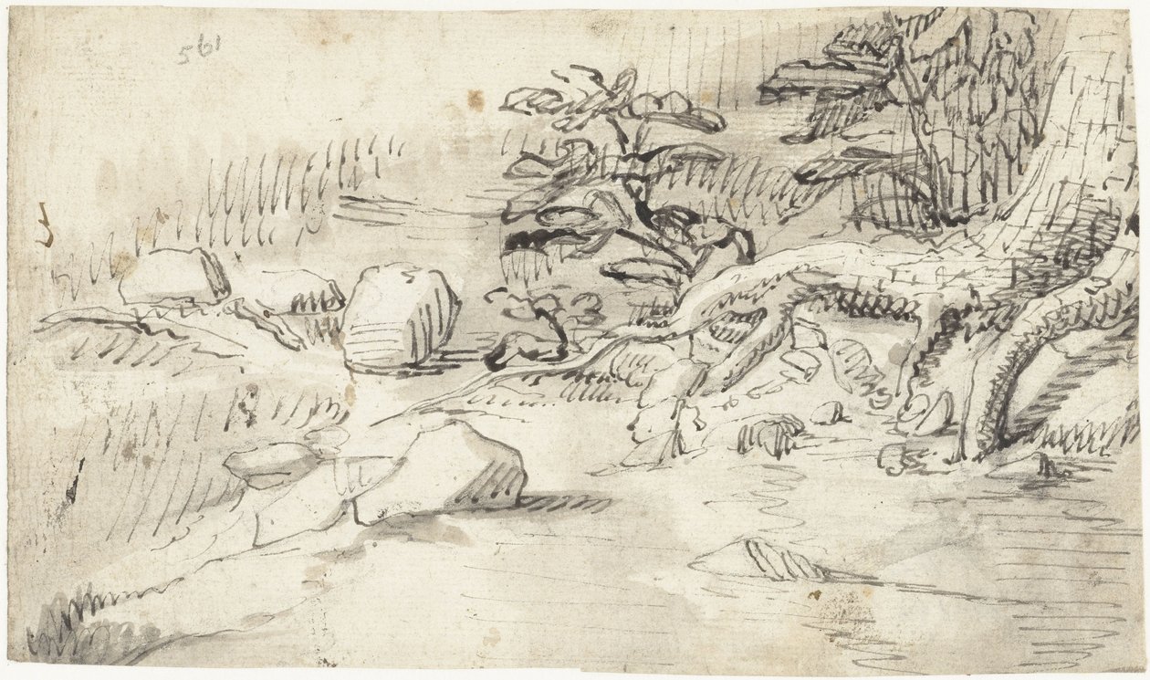 Puron lähellä olevan puun juurien tutkiminen tekijältä Gerard ter Borch (I)