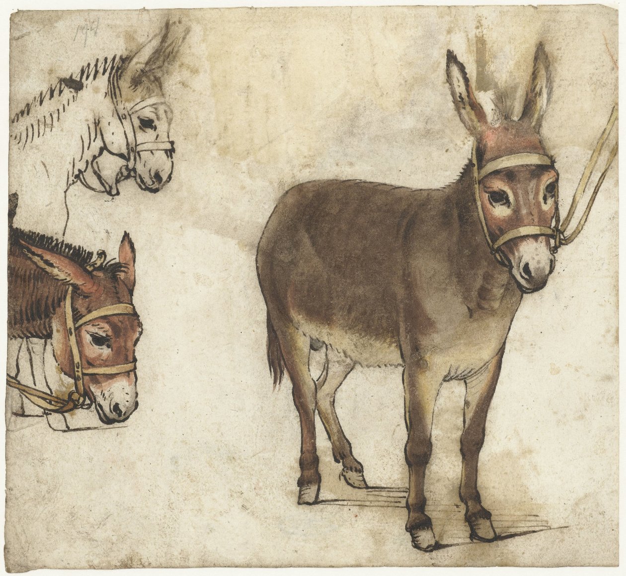 Opintolevy aasilla tekijältä Gerard ter Borch (I)