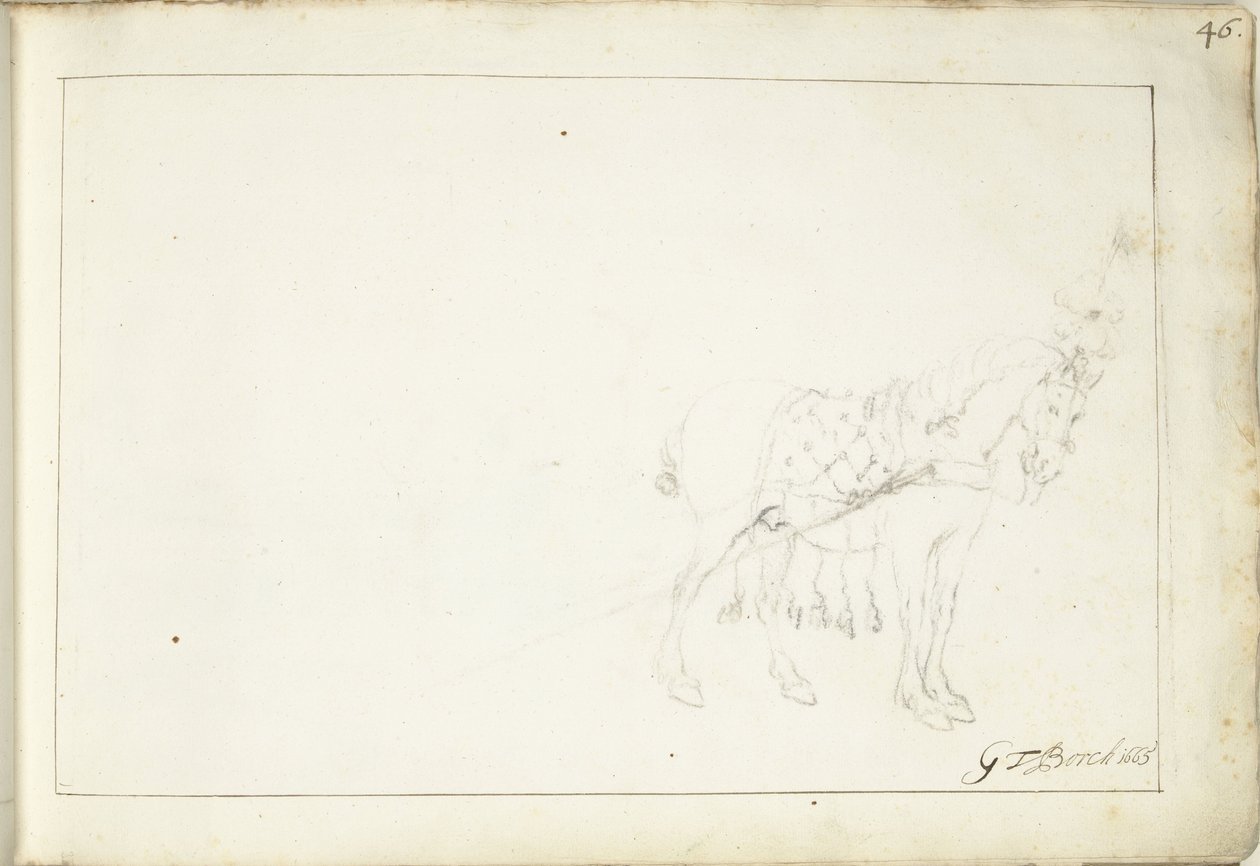 Hevonen, oikealle tekijältä Gerard ter Borch (II) (signed by artist)