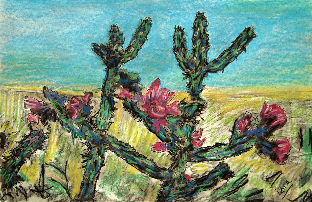 Cholla in Bloom, 2017 (piirustus paperille) tekijältä Gerhardt Isringhaus