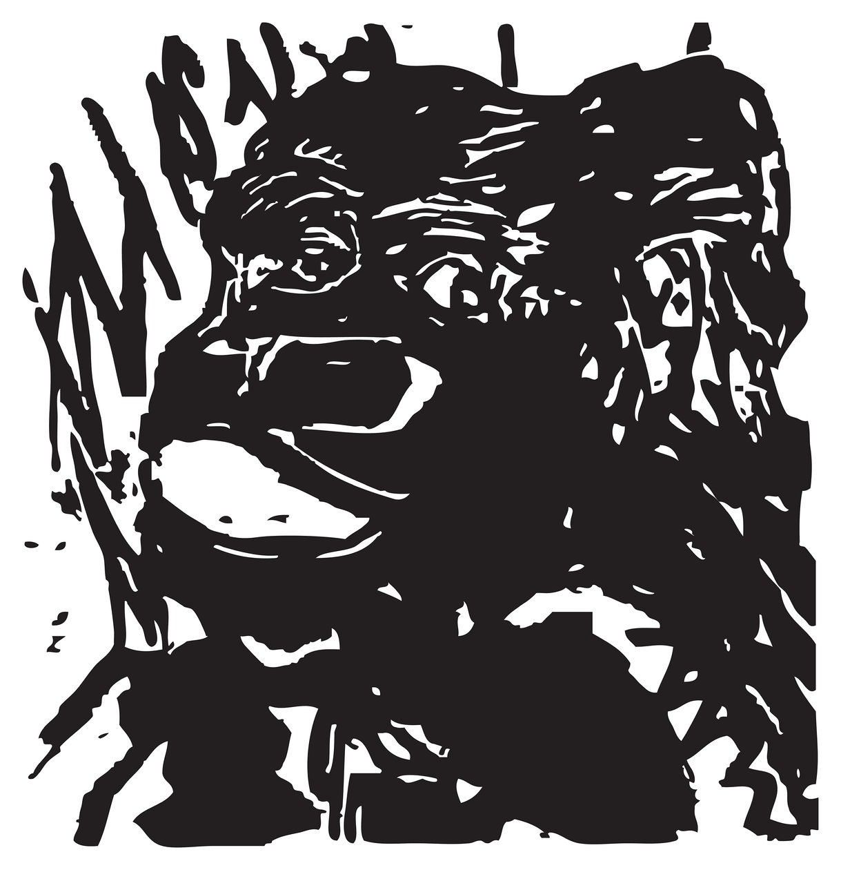 Coy Gorilla tekijältä Gerhardt Isringhaus