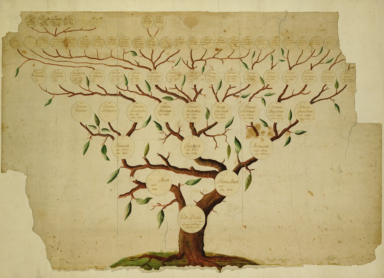 Bachin sukupuu, n. 1750-1770 (kynä ja muste ja kynä paperille) tekijältä German School