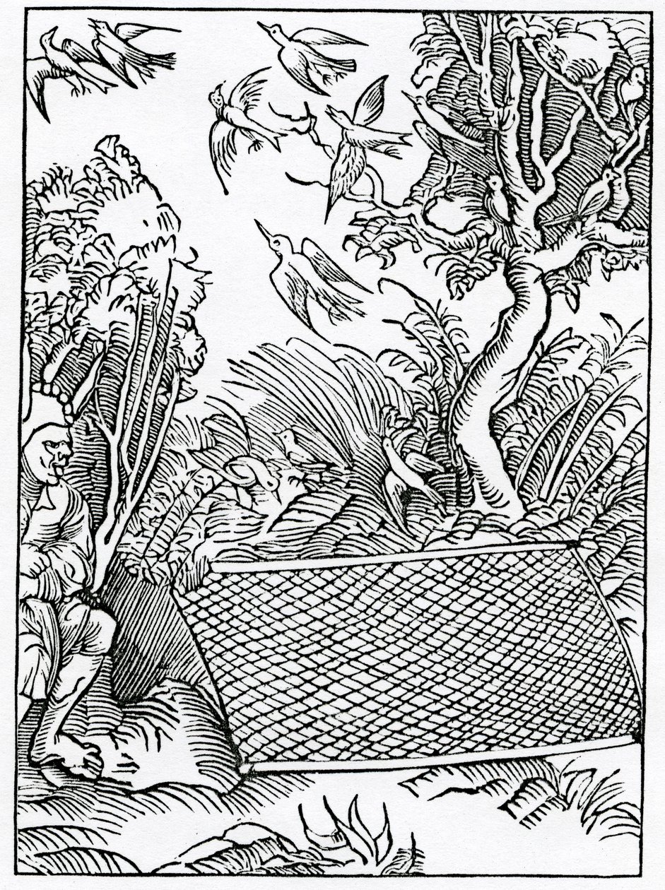 Meidän avoimista neuvoistamme, esimerkki Alexander Barclayn englanninkielisestä käännöksestä "The Ship of Fools" vuonna 1874 julkaistusta painoksesta tekijältä German School