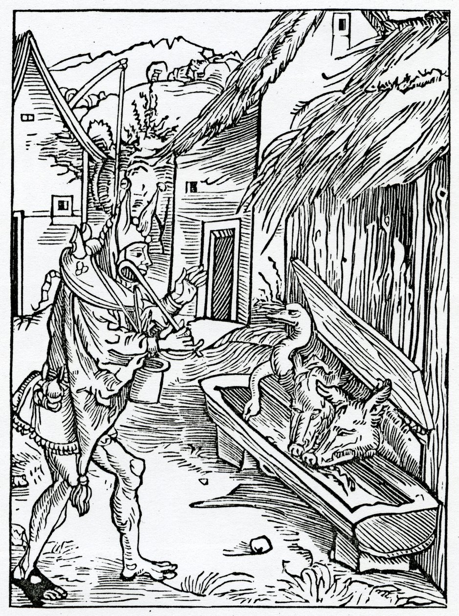Niissä yt synne trustynge vpon Jumalan armoa, esimerkki Alexander Barclayn englanninkielisestä käännöksestä "The Ship of Fools" vuonna 1874 julkaistusta painoksesta tekijältä German School