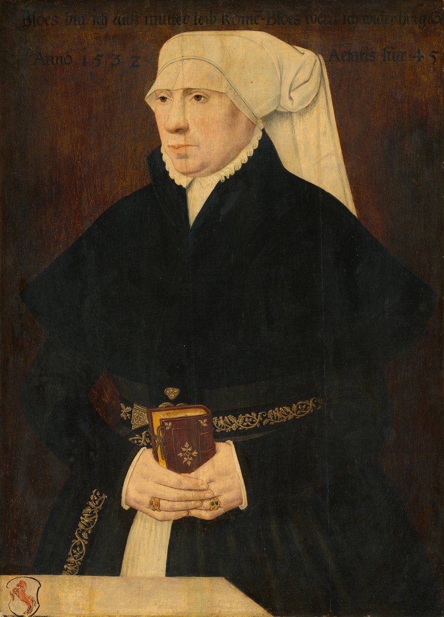 Naisen muotokuva tekijältä German 16th Century