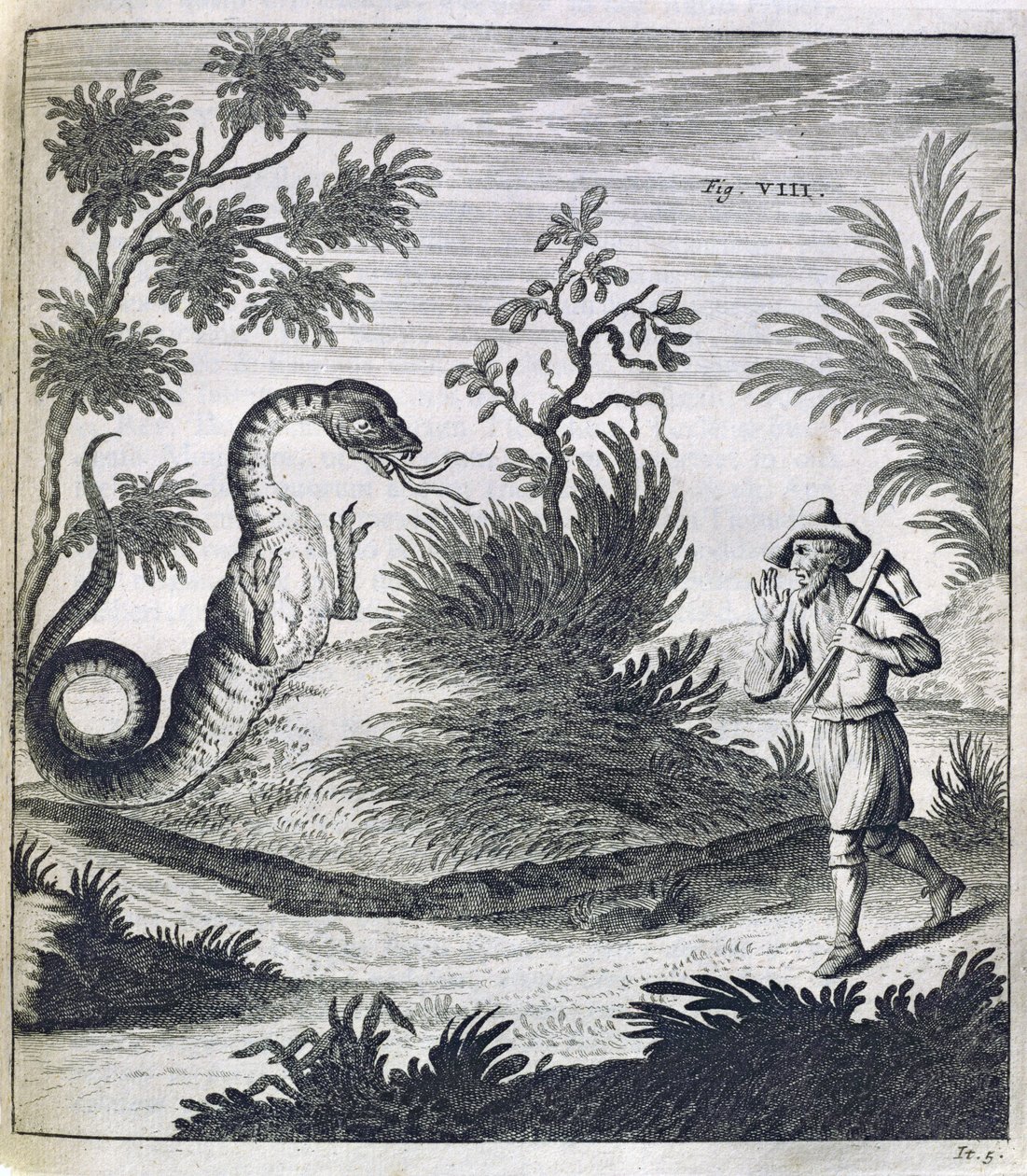 Pelottava lohikäärme, n. 1660 tekijältä German School