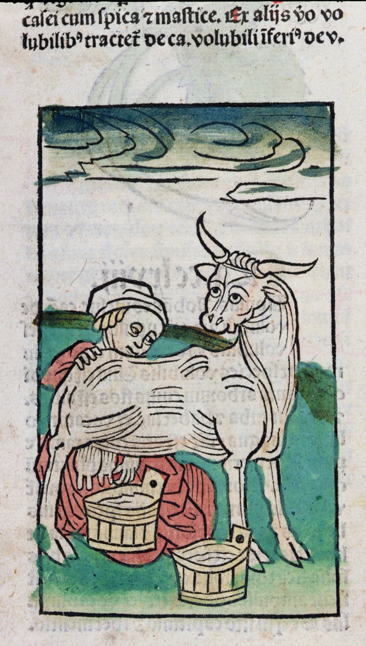Lehmää lypsävä piika, 1491 (värillinen puupiirros) tekijältä German School
