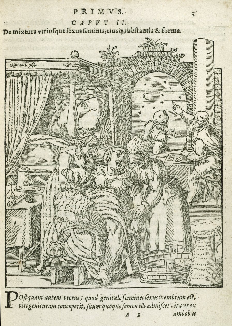 Nainen työssä, kuvitus Rueffin 1587 kirjan On the Conception and Growth of Man, luvusta 2, kirja 1 tekijältä German School