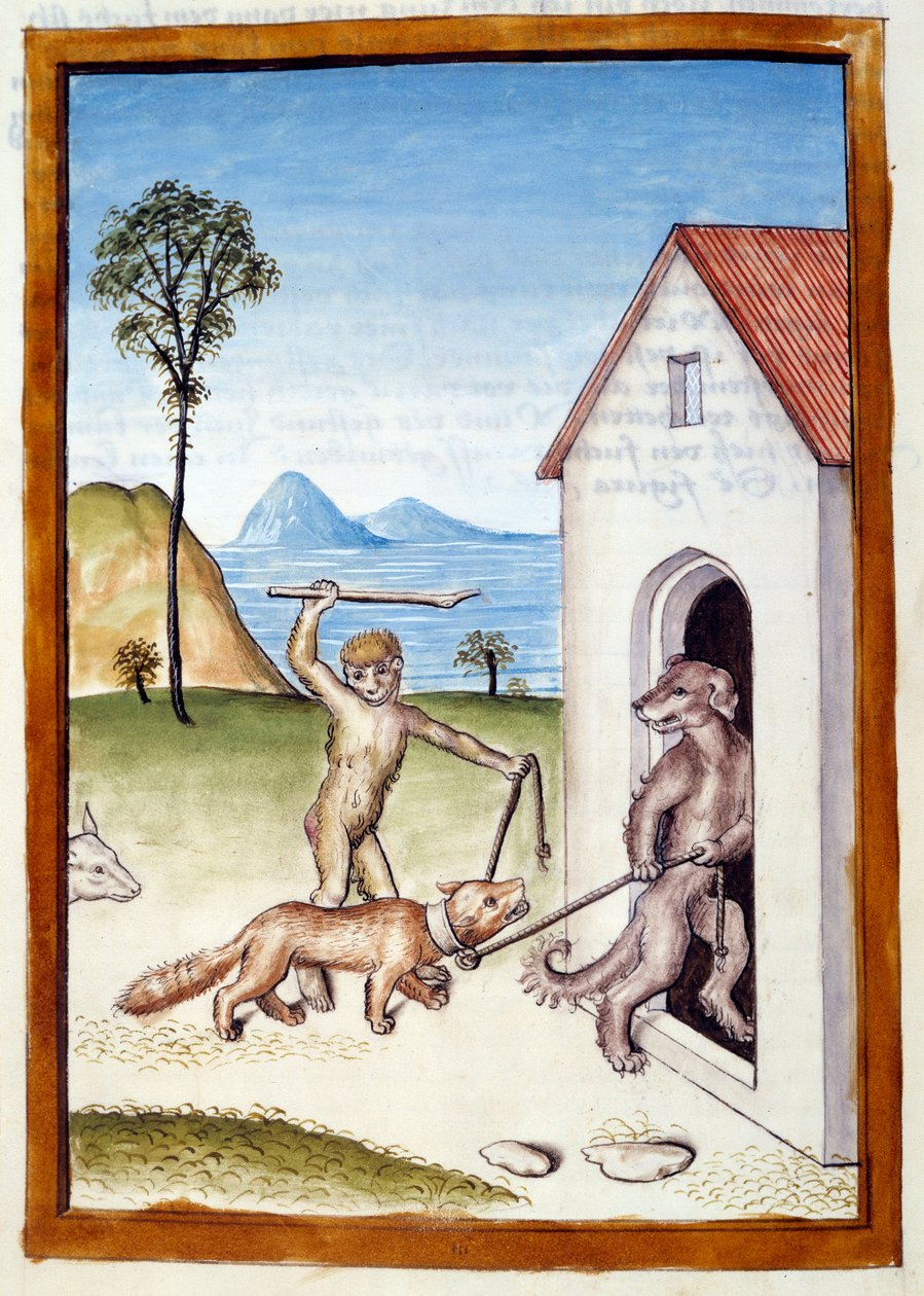 Koira ja apina tyrannivat lumikkoa. Eläimet kuvattu urosasennossa. Miniatyyri otettu saksankielisestä käännöksestä Bidpain "" Kalilan (Calilan) ja Dimnan taruista. 1400-luvun Chantilly, Musee Conde tekijältä German School