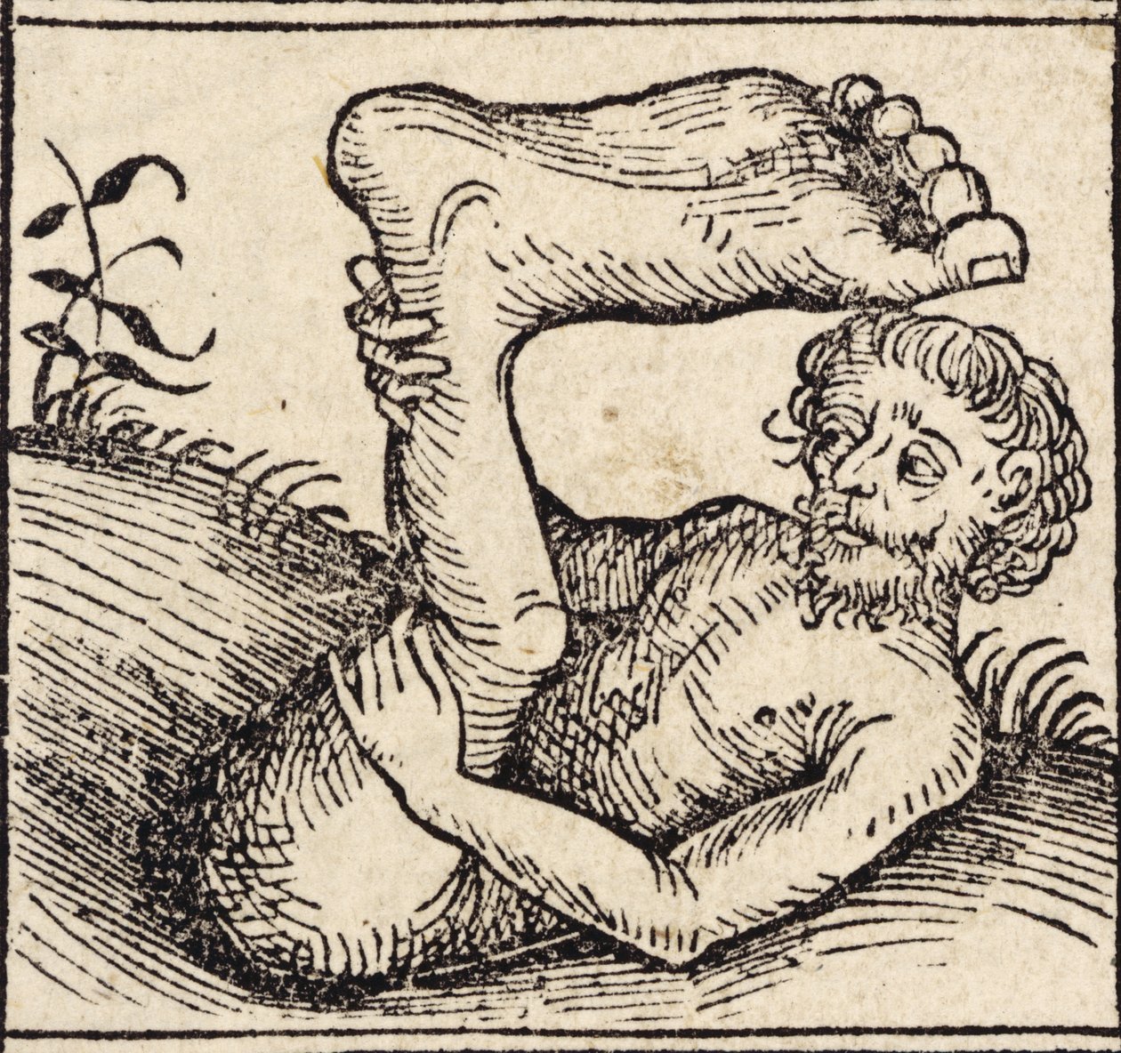Sciopod, mies, jolla on turvonnut jalka, Nürnbergissä julkaistun Hartmann Schedelin (1440-1515) kirjasta "Registrum Hujus Operis Libri Cronicarum cum Figuri et Imagibus ab Inicio Mundi" tekijältä German School