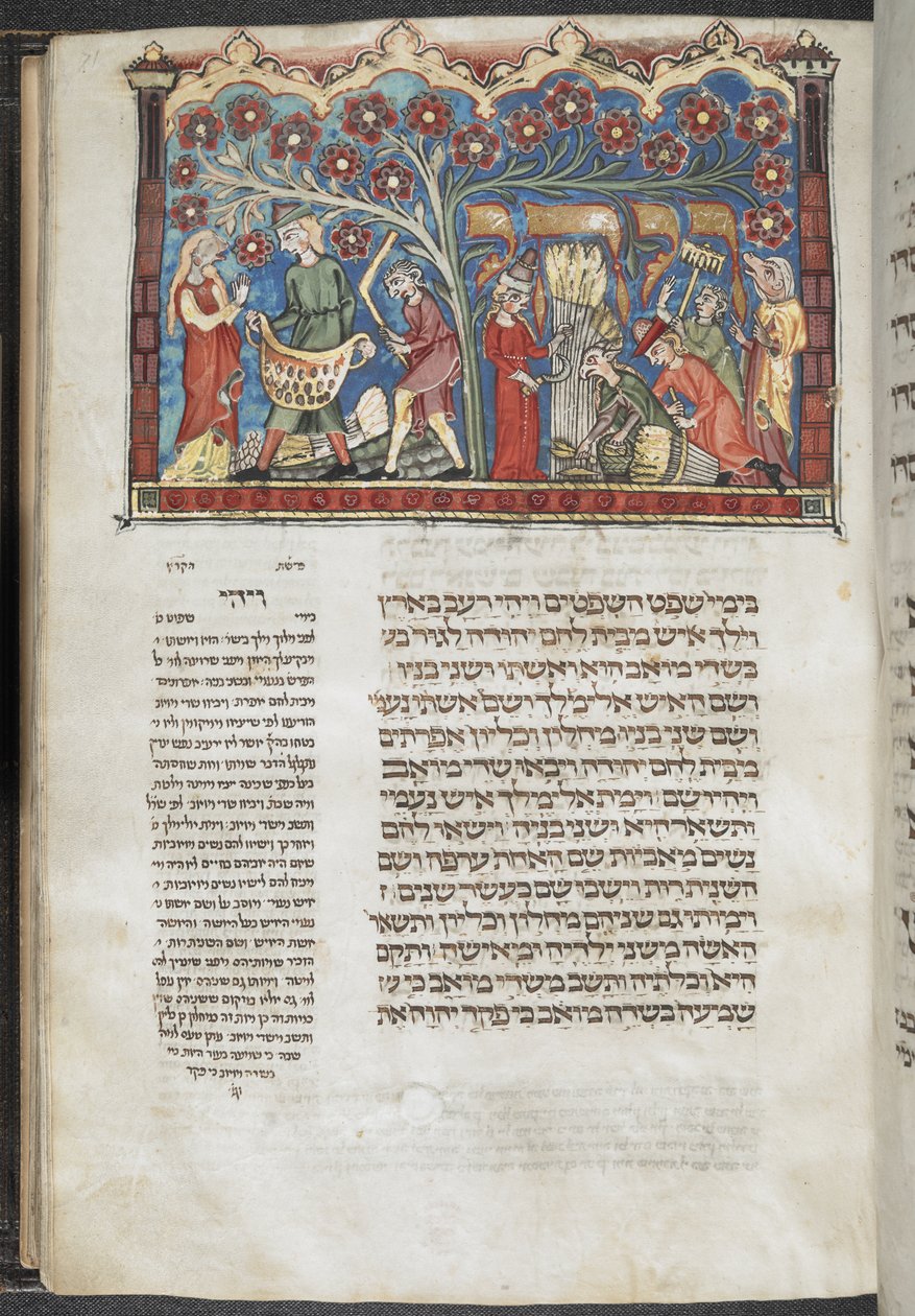 Lisätä. 22413, f.71 Sadonkorjuukohtaus, "eteläsaksalaisesta Machzorista (Festivalin rukouskirja)", n. 1320 (mustetta ja väriä perunakalvolla) tekijältä German School
