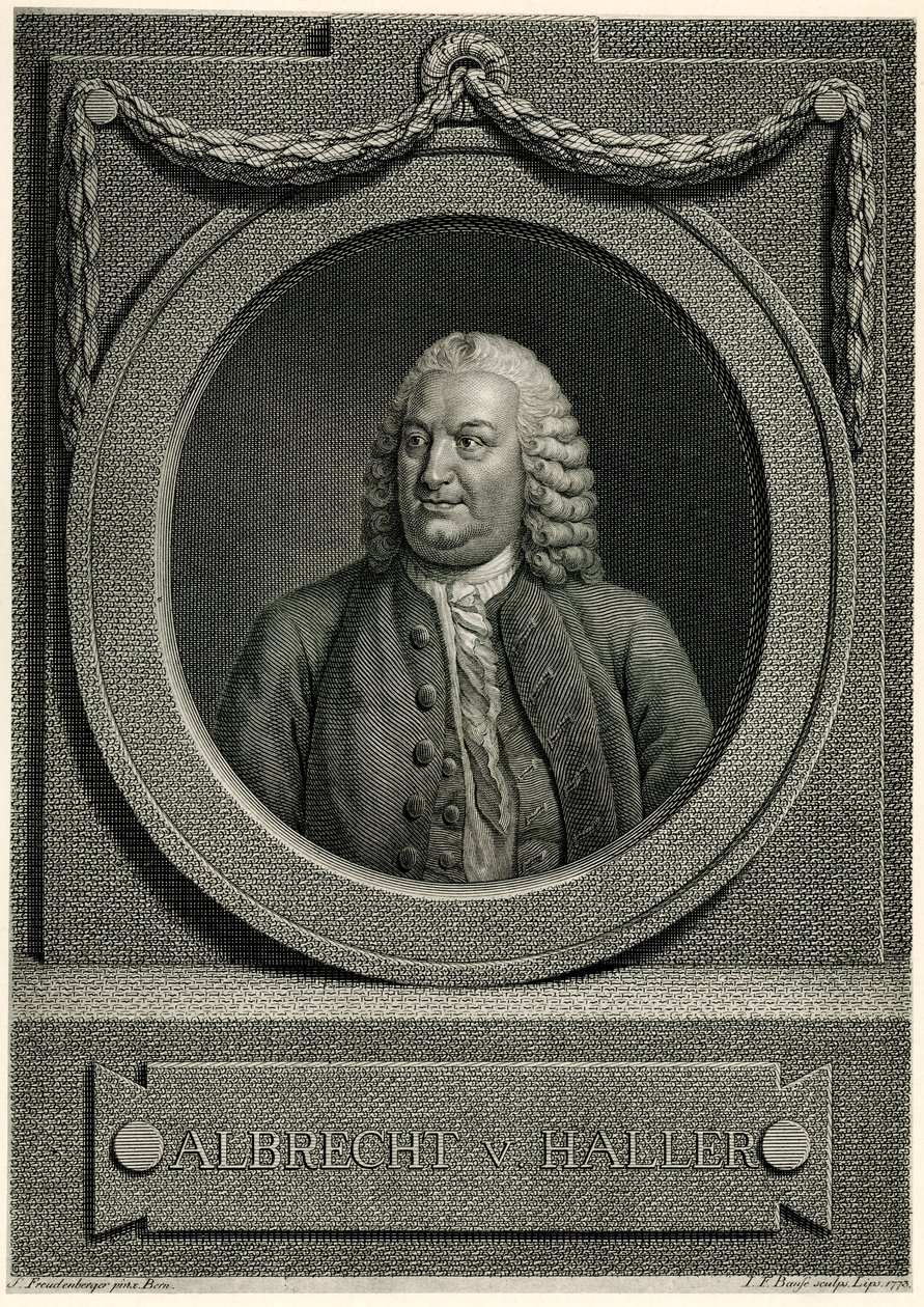 Albert von Haller tekijältä German School