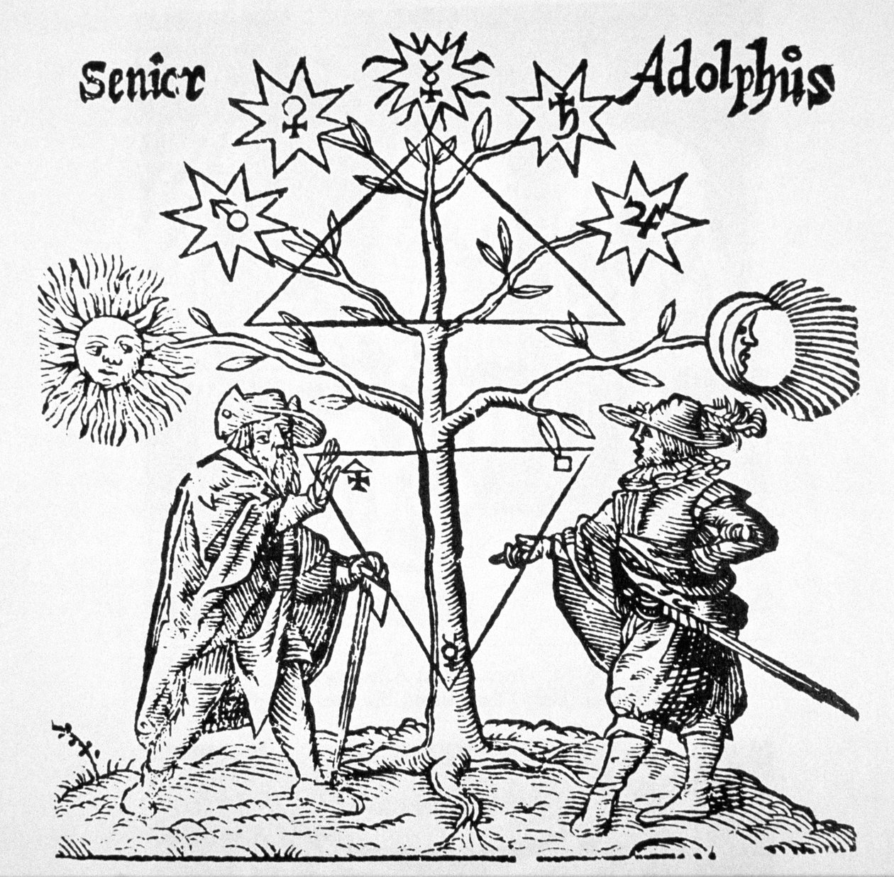 Alchemical Tree, Diagrammatic and Emblematic, Thomas Nortonin (1749) Museum Hermeticumista kuvattuna 1800-luvun lopulla julkaistussa taikuuden historiassa tekijältä German School