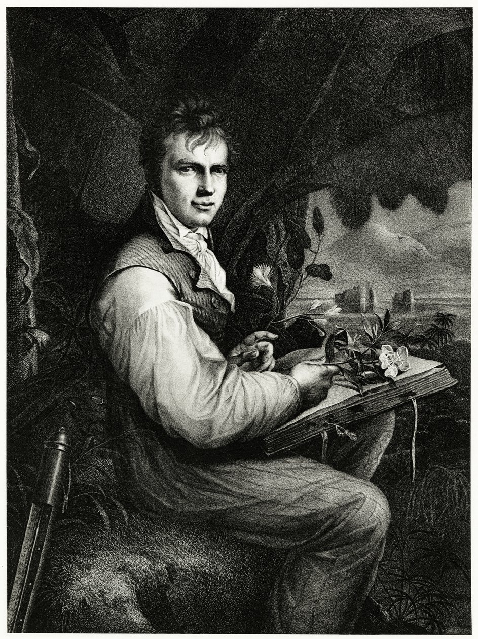 Alexander von Humboldt tekijältä German School