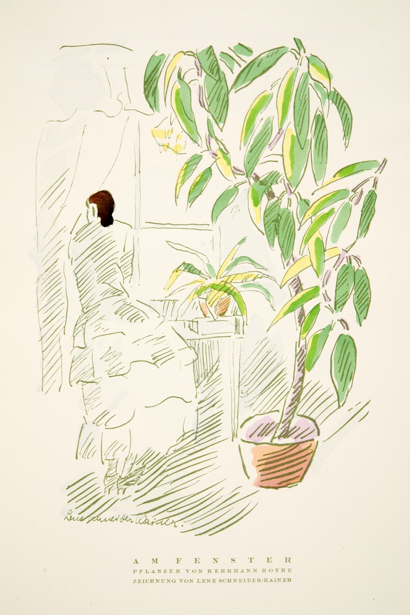 Am Fenster, Hermann Rothen kasvit, Styl, pub.1922 (pochoir print) tekijältä German School