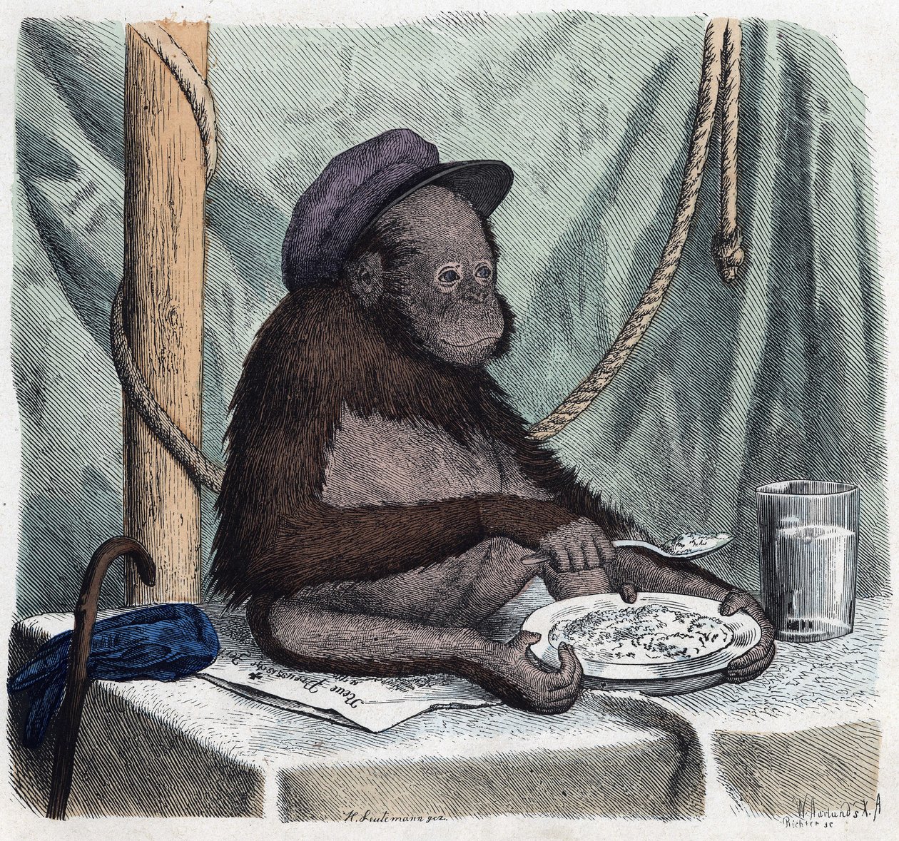 Koulutettu orangutaani (orangutan, orang outang, orangutan) syö riisiä lusikalla. Kun joku matkustaa, hän voi kertoa tämän, Franz Wiedemannin saksalaisen tarinan tekijältä German School