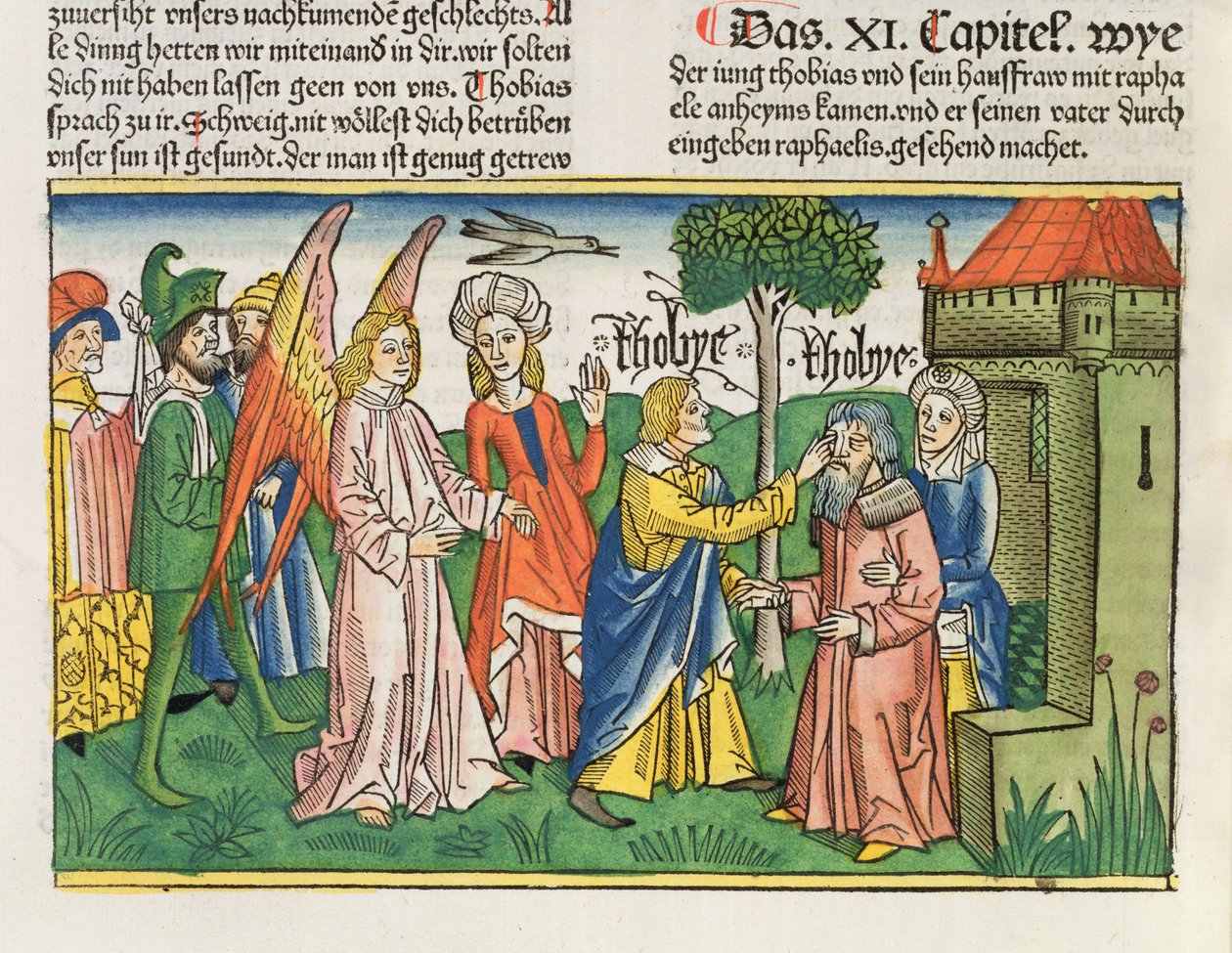Apokryfi: Tobias palauttaa isänsä Tobitsin näön kalan sapella, Nürnbergin Raamatusta (Biblia Sacra Germanaica) (värillinen puupiirros) tekijältä German School