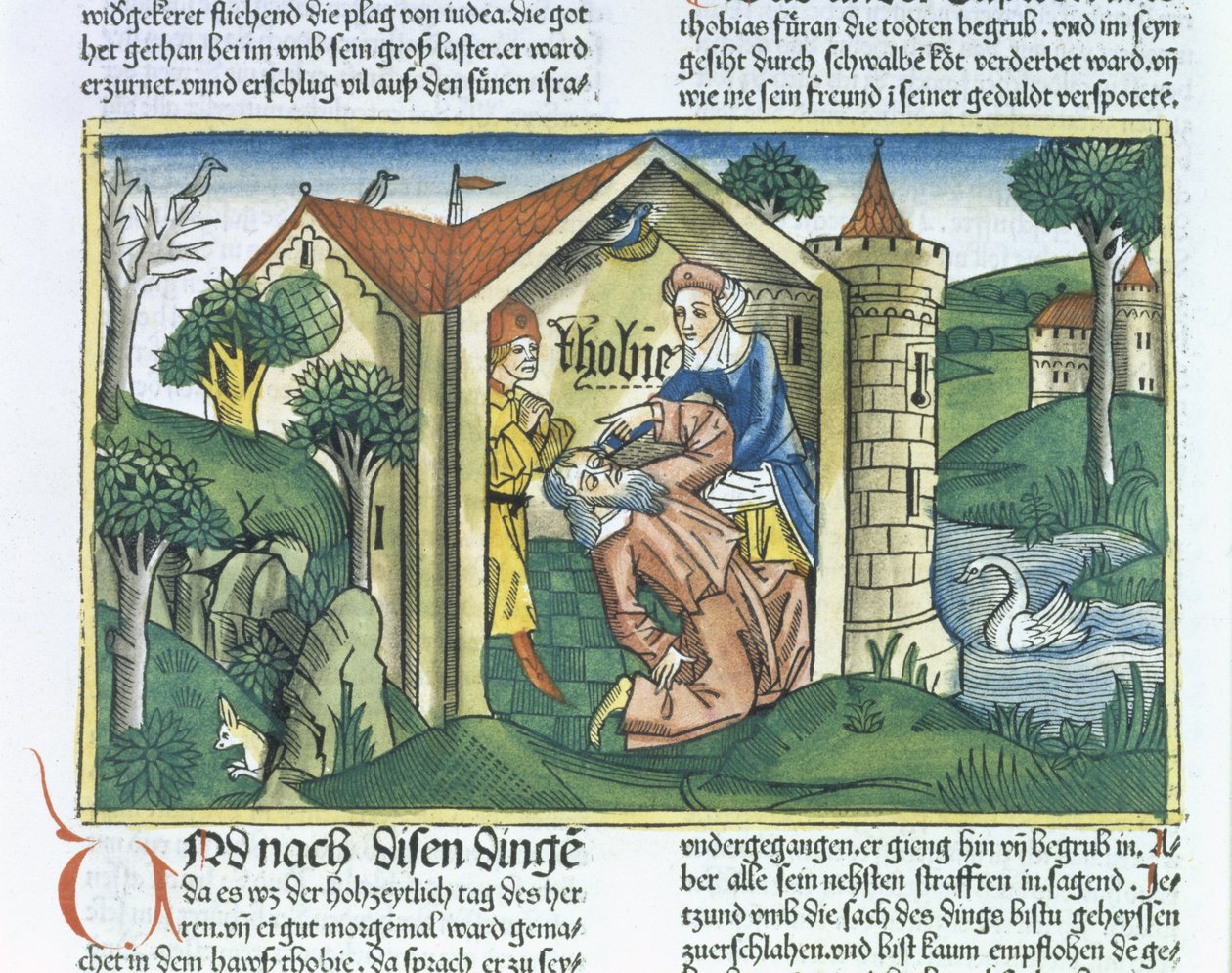 Apokryfi: Tobit on sokaissut varpusen jätökset, Nürnbergin Raamatusta (Biblia Sacra Germanaica) (värillinen puupiirros) tekijältä German School