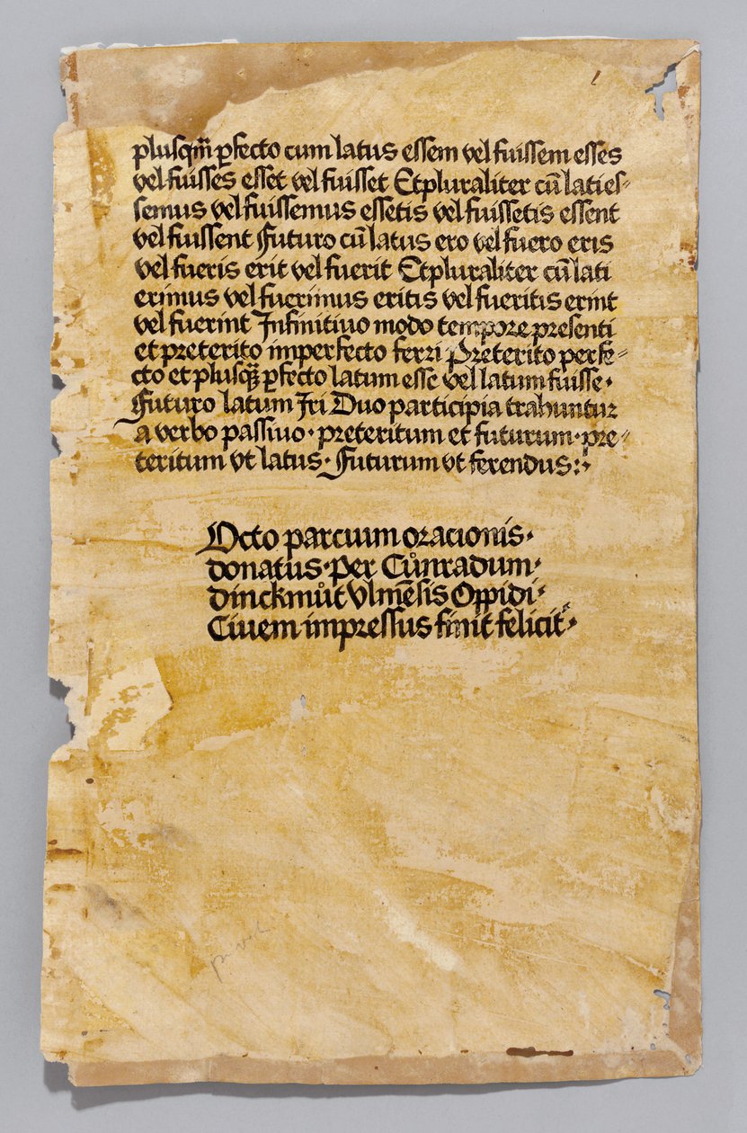 Ars Minor kirjoittanut Aelius Donatus, painanut Konrad Dinckmut, Ulm, n.1476-80 (blockbook) tekijältä German School