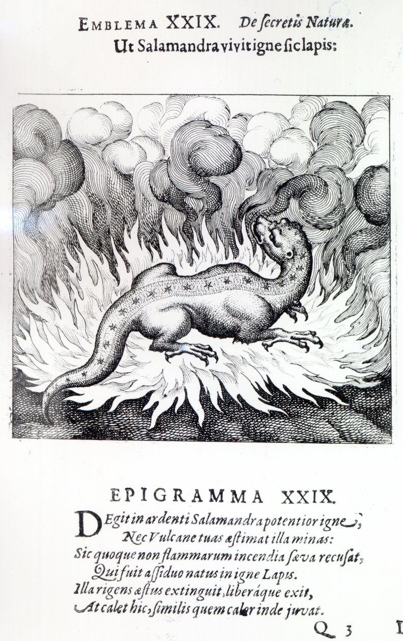 Kuten salamanteri tulessa, niin myös kivi, Michael Maierin Atalanta fugiensin tunnus XXIX, 1617 tekijältä German School