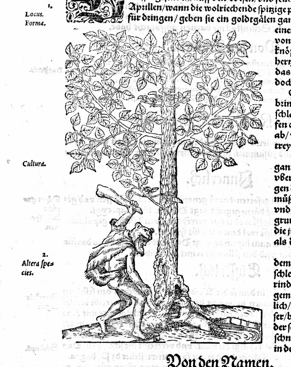 Beaver Hunt - Jerome Bockin "Rasismissa". 1572 tekijältä German School