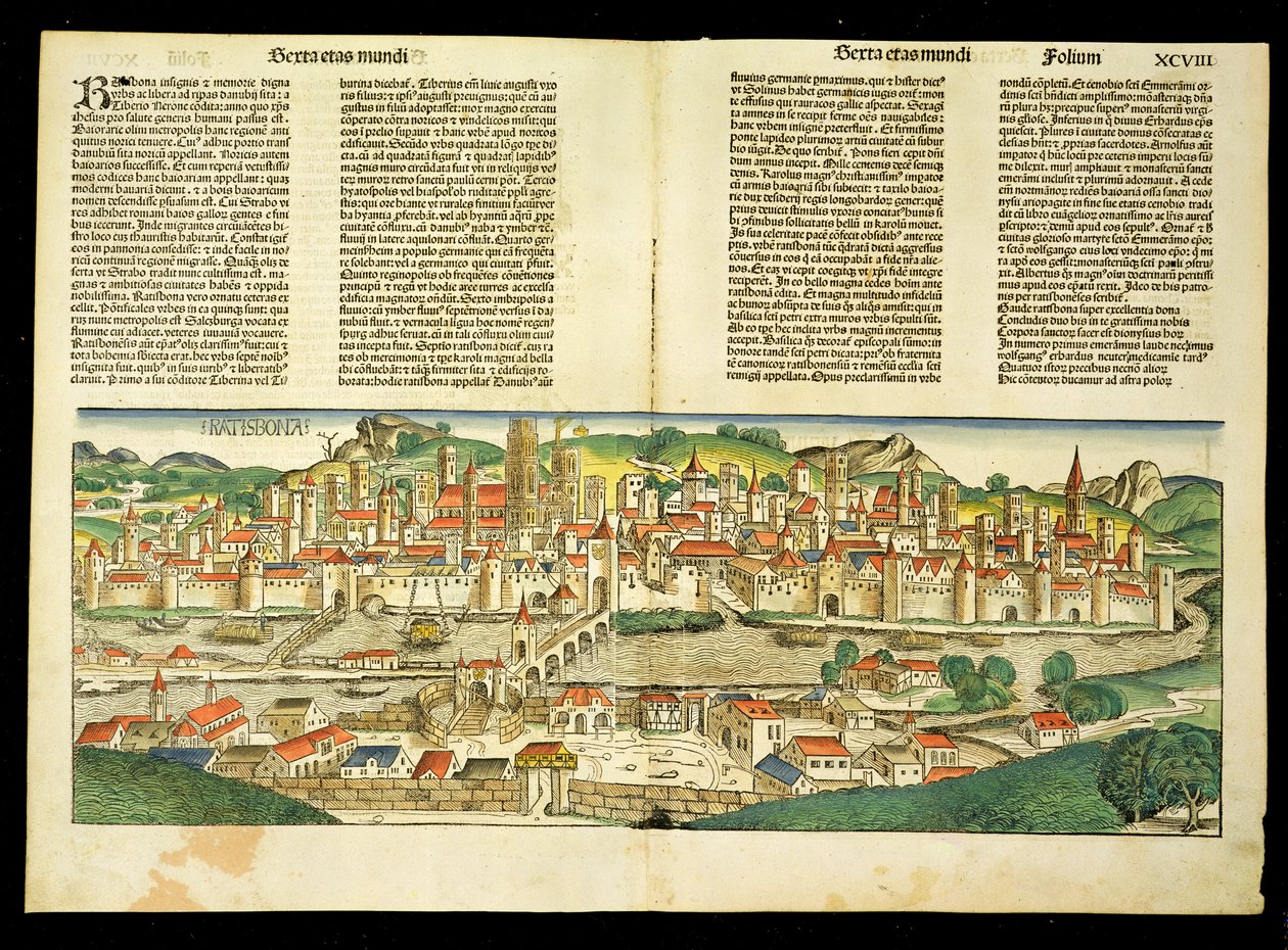 Ratisbonin lintuperspektiivikuva Hartmann Schedelin (1440-1514) Nürnbergin kronikasta 1493 tekijältä German School