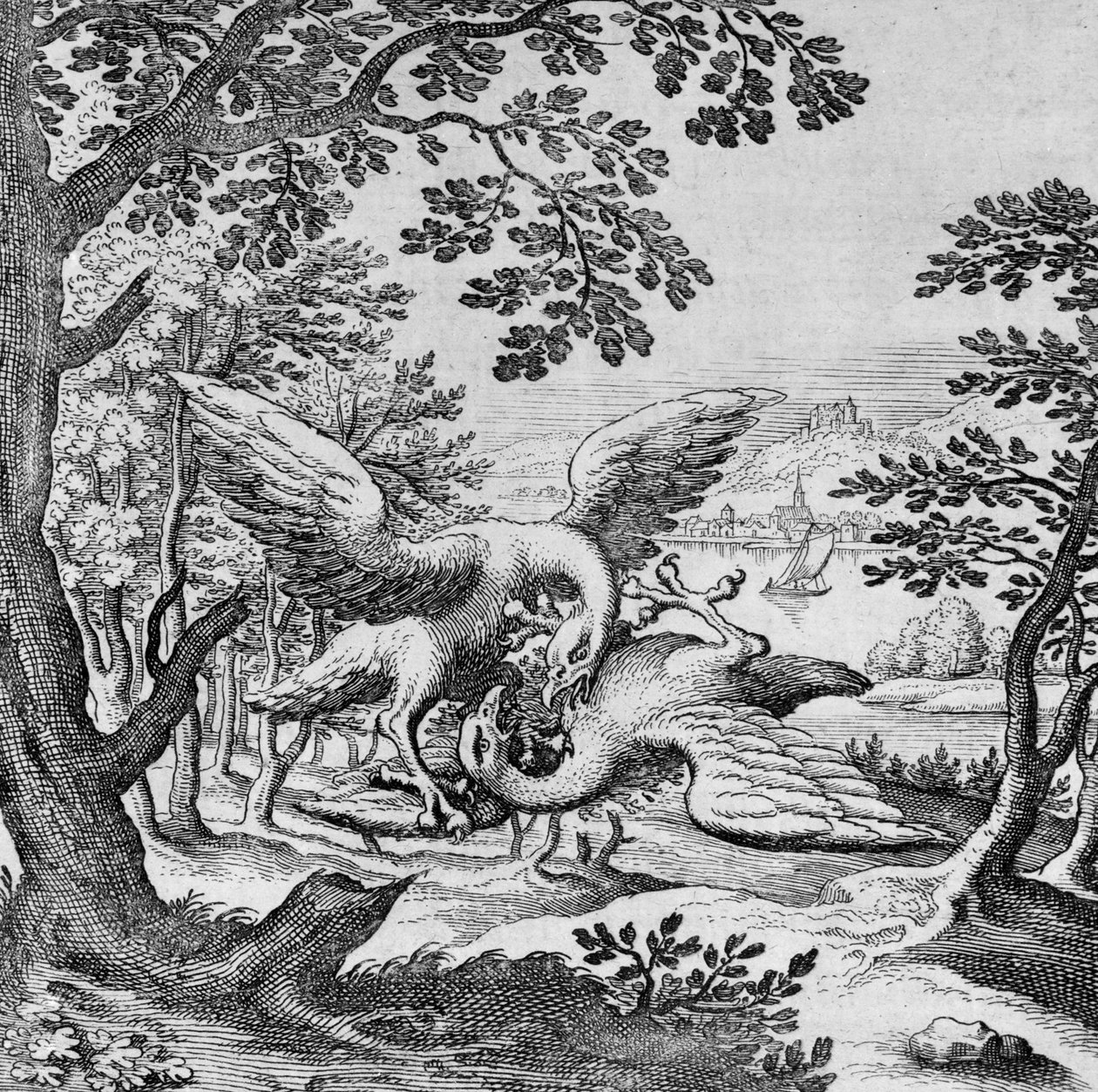 Musaeum Hermeticumista taistelevat linnut tekijältä German School