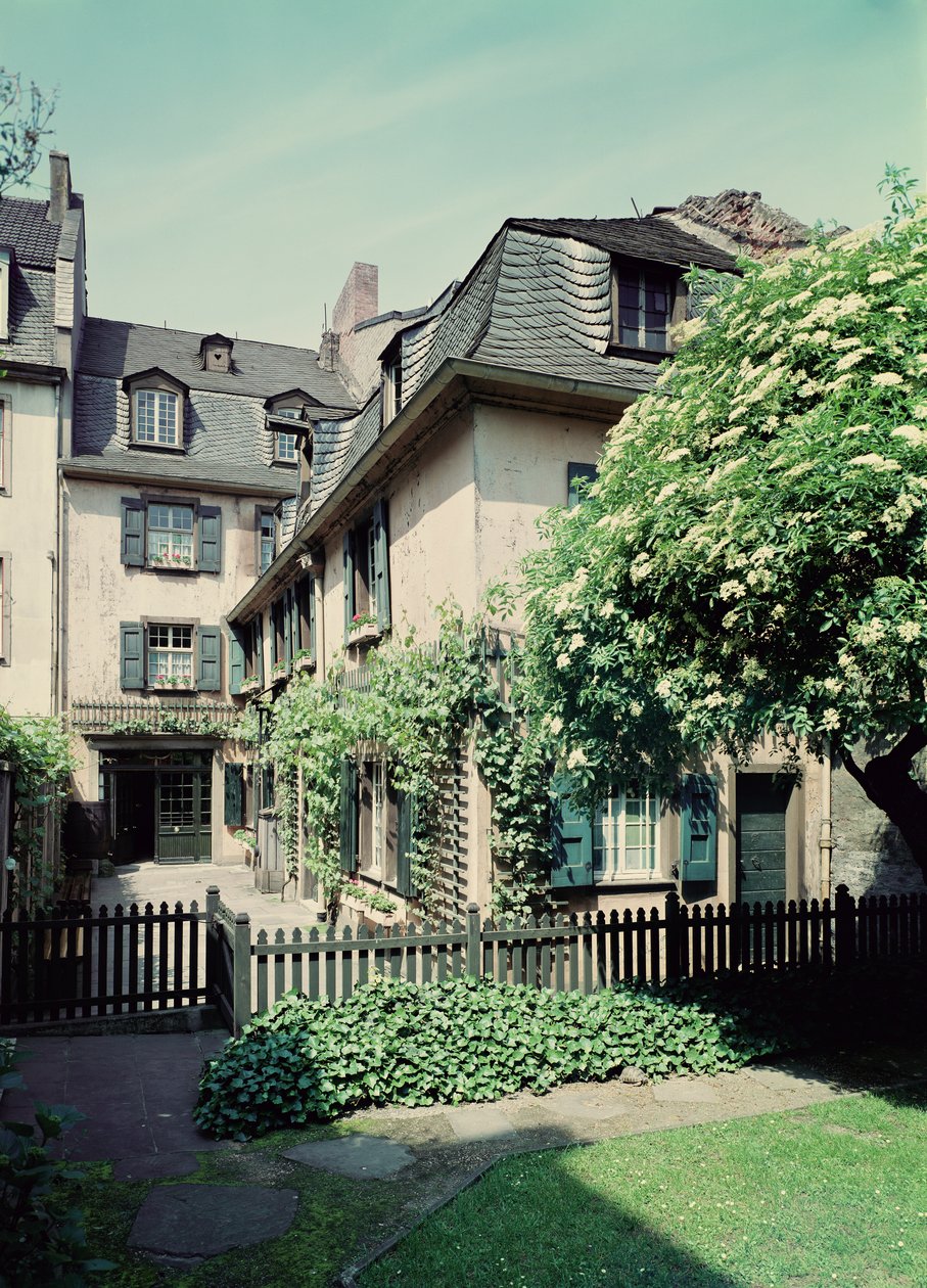Ludwig van Beethovenin (1770-1827) syntymäpaikka osoitteessa Bonngasse 20, Bonn tekijältä German School