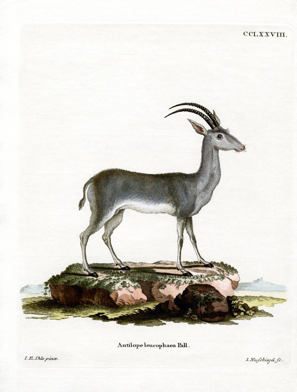 Bluebuck tekijältä German School