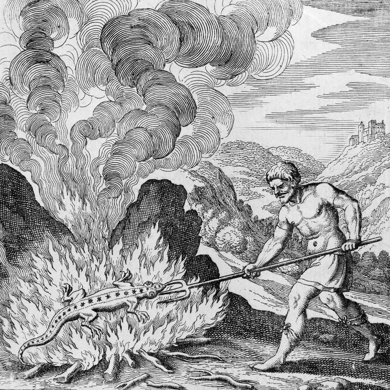 Musaeum Hermeticumin salamanterin polttaminen tekijältä German School
