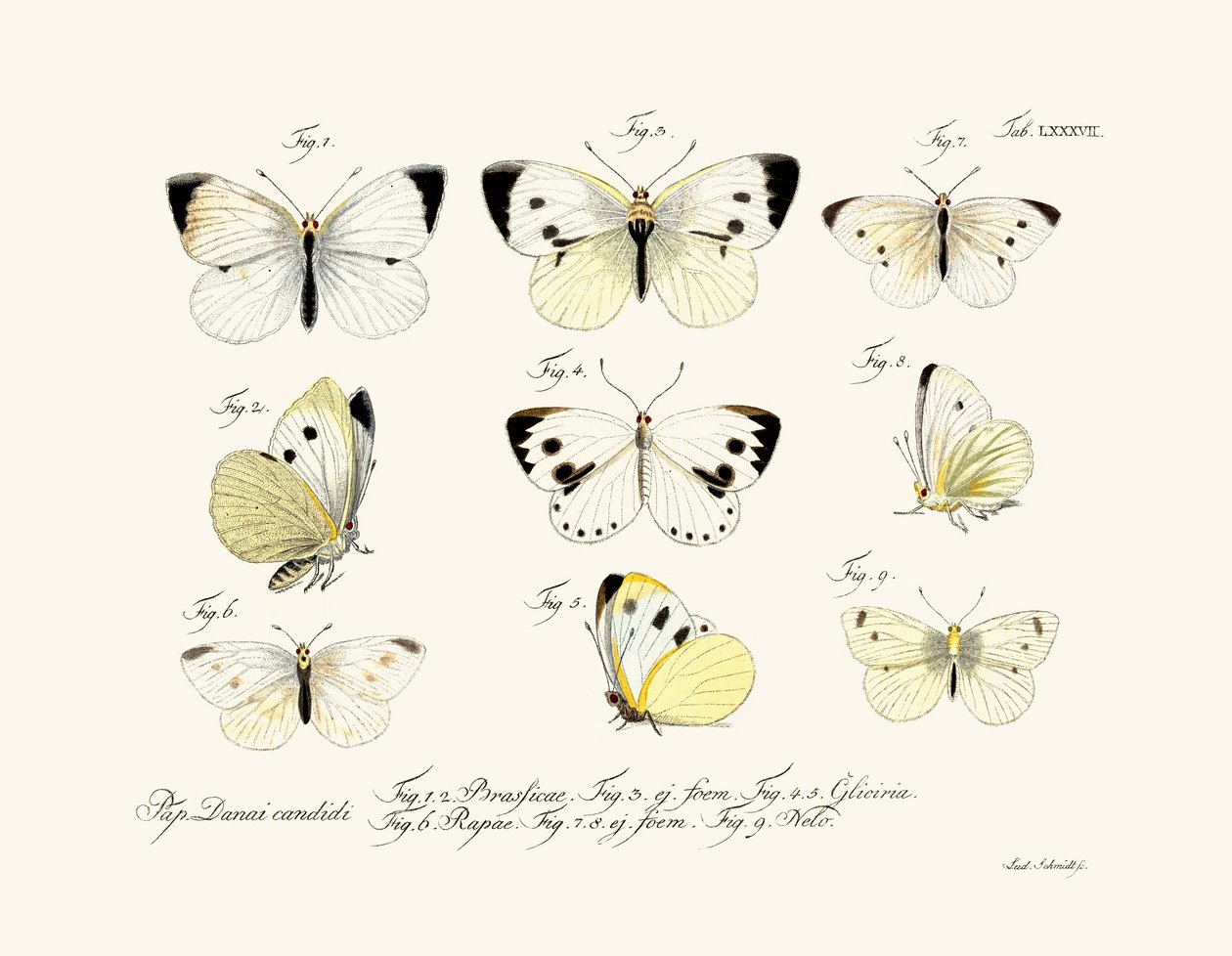 Perhoset, 1783-1806 tekijältä German School