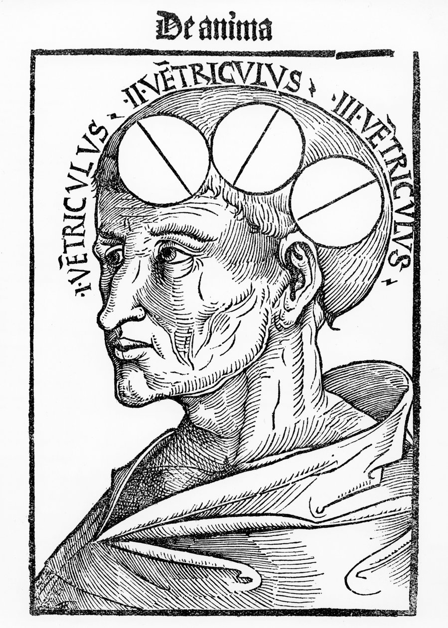 Aivojen onkalot, Albertus Magnuksen Philosophia Naturalis, julkaistu Baselissa, 1506 tekijältä German School